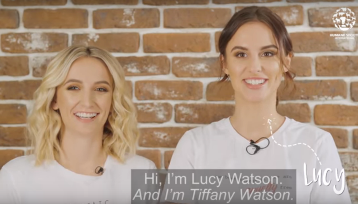 Sabbot Loves: Humane Society & The Watson Sisters