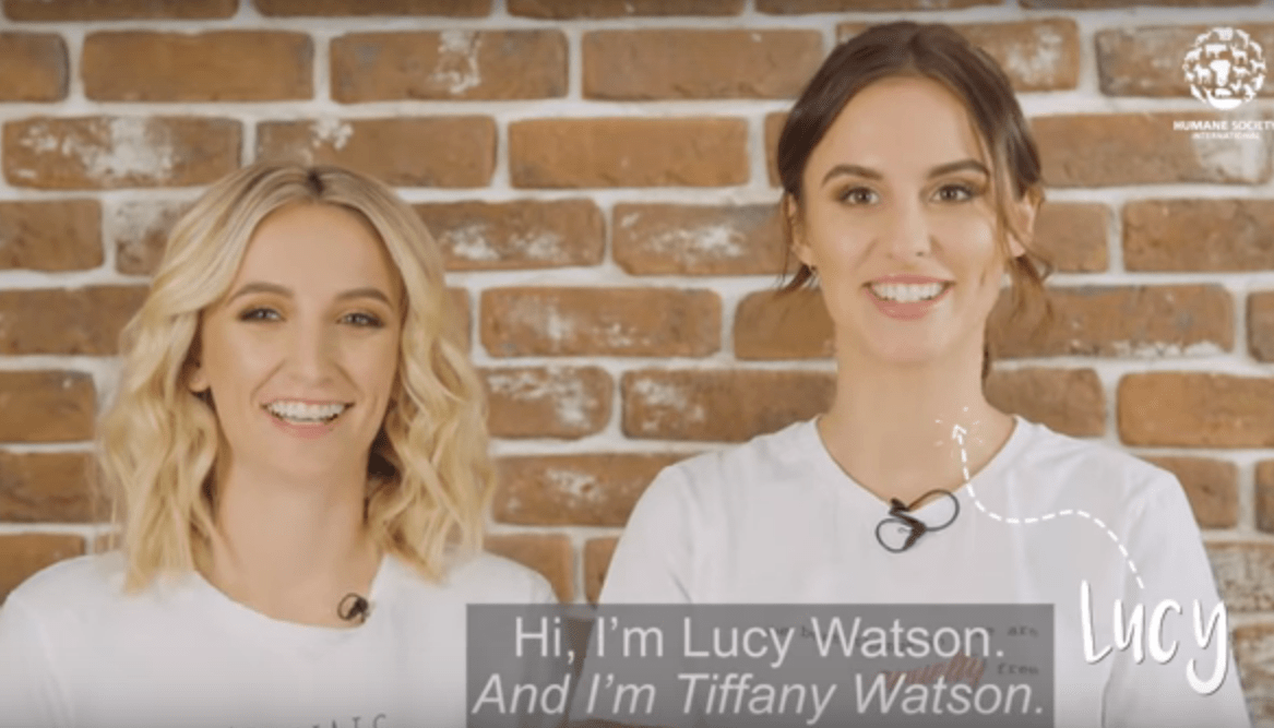Sabbot Loves: Humane Society & The Watson Sisters - Sabbot Headwear